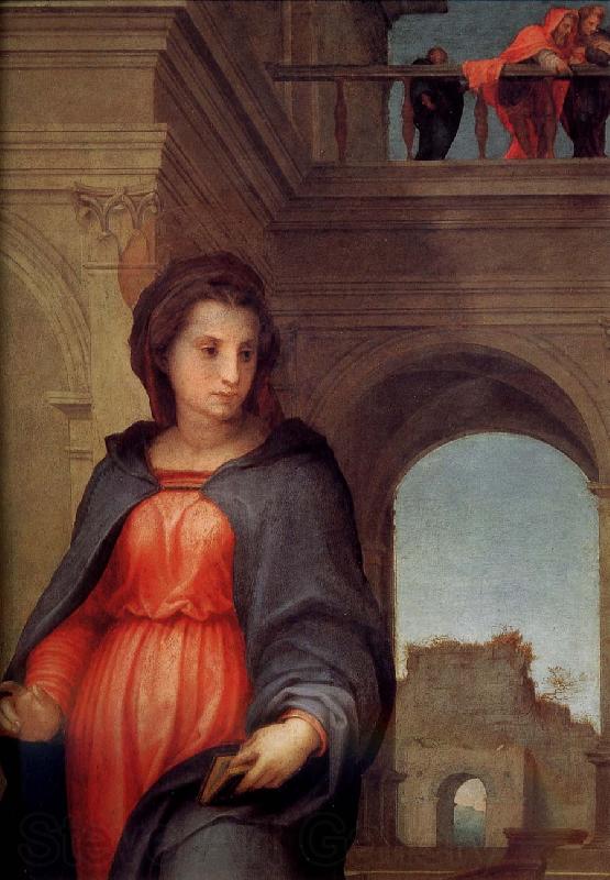 Andrea del Sarto Announce in detail France oil painting art